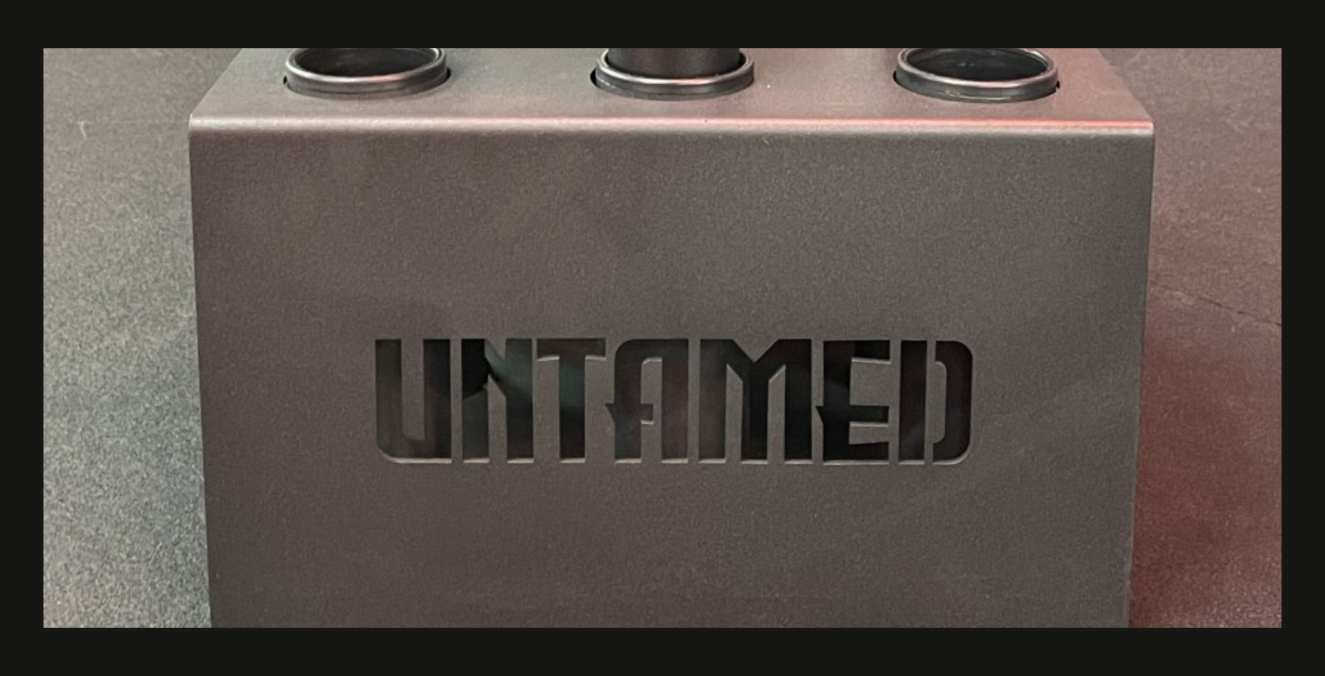 Untamed – 3